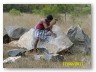 A mud house must have a good plinth to keep its feet dry. 
Rocks at the site to be broken...